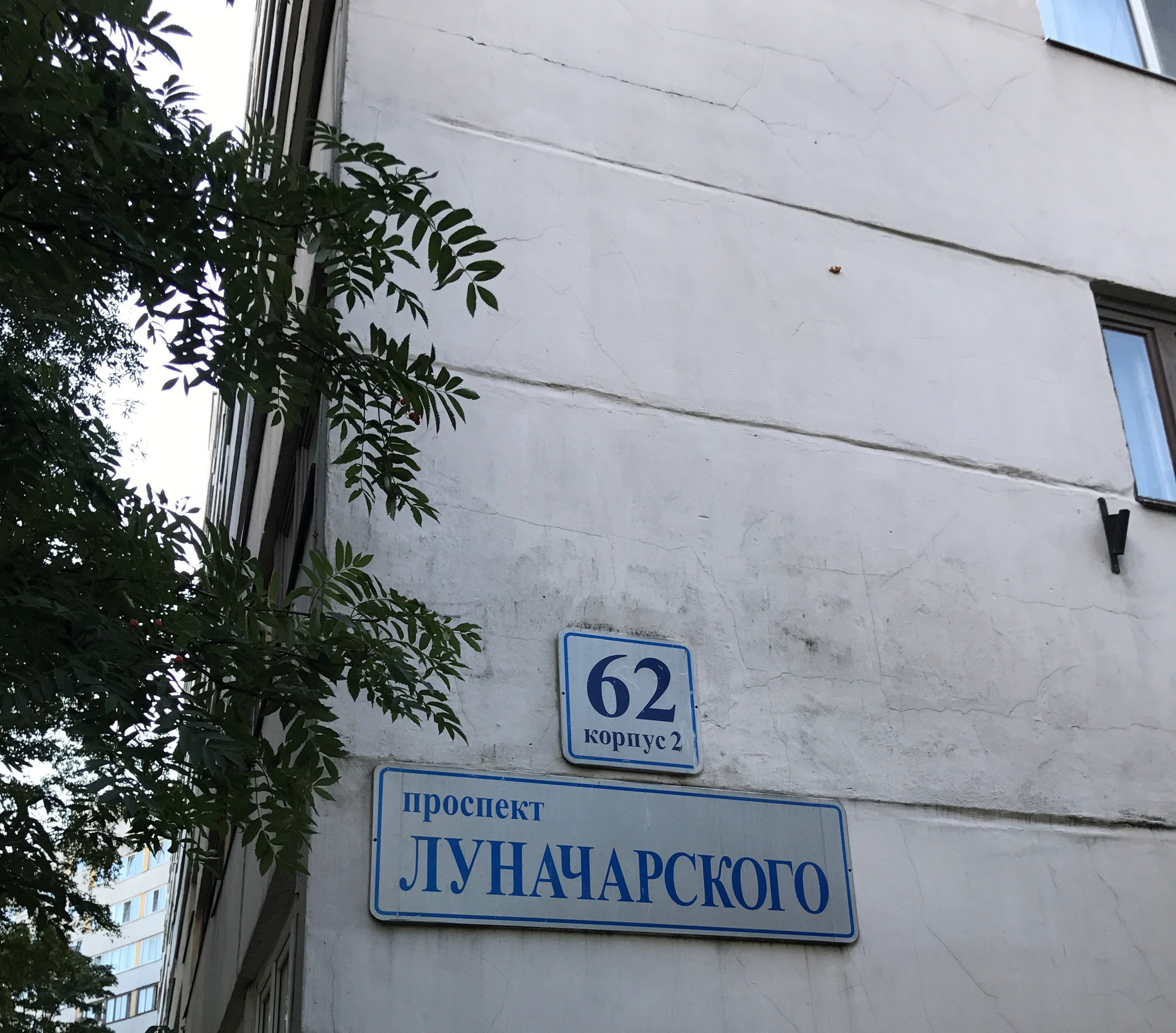 Косметический ремонт лестничных клеток пр. Луначарского дом 62 к. 2  ( 1 пар.) (2)